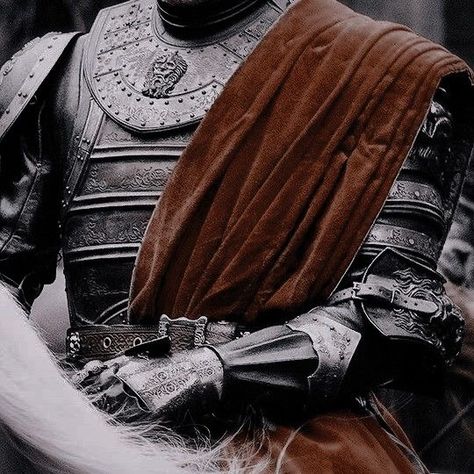 narnia - c.s lewis Joffrey Baratheon Aesthetic, Dnd Fighter Aesthetic, Fighter Dnd Aesthetic, Royal Knight Aesthetic, Fighter Aesthetic, Knight Aesthetic, Daemon Targaryen, Dnd Classes, Arthur Pendragon