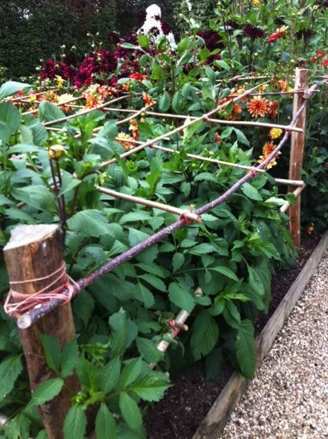 Hill Photo, Urban Garden Design, English Garden Design, Cut Flower Farm, Trellis Ideas, Sarah Raven, Dahlias Garden, Cottage Garden Design, Sloped Garden