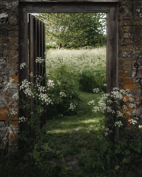 Rachel (@agirlfromengland) | Instagram Cottage Aesthetic, Garden Photography, French Countryside, Garden Lovers, English Cottage, East Sussex, English Countryside, Garden Gates, English Garden