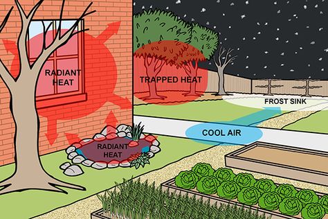 Garden Microclimates – Urban Food Garden Garden Microclimate, Trees In Winter, Vegetable Bed, Shady Tree, Gravel Path, This Heat, Edible Landscaping, Winter Sun, Cold Nights