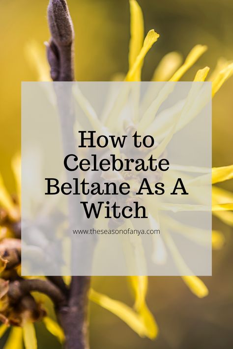 How to Celebrate Beltane as a Witch: Beltane 2023 Beltane Incense Recipe, Beltane Meaning, Beltane Prayer, How To Celebrate Beltane, Beltane Spells, Beltane Traditions, What Is Beltane, Beltane Recipes, Witchy Holidays