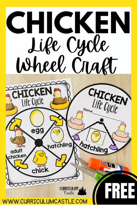 Life Cycle Of A Chicken Kindergarten, Life Cycles Activities For Preschoolers, Lifecycle Of A Chicken Preschool, Life Cycle Of A Bird Craft, Chicken Science Preschool, Chicken Life Cycle Kindergarten, Life Cycle Of Chicken Preschool, Lifecycle Of A Chicken Craft, Life Cycles For Preschool