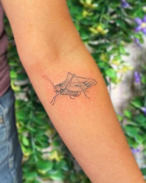 katydid tattoo • Instagram Katydid Tattoo, Bug Tattoo, Tattoo Instagram, Tatting, Tattoo Ideas, Tattoos, Instagram