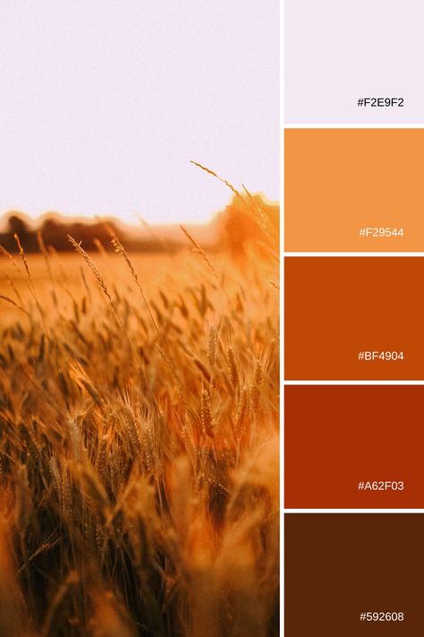 Warm fall colors, sun-kissed wheat field. Wheat Color Palette, Wheat Field Color Palette, Wheat Field, Wheat Field Aesthetic, Painting Wheat Field, Van Gogh Wheat Field, Forest Theme Wedding, Wheat Fields, Color Palette Bright