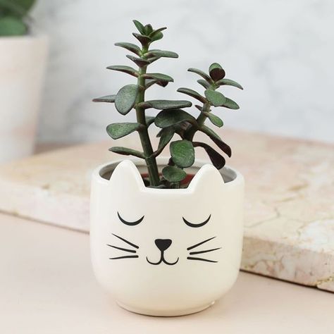 Set Of Two Cat's Whiskers Mini Planters These small indoor pots are perfect for housing your cacti and succulents! In a calming shade of cream and painted with a sweet cat face on the front these whiskered planters are just what you need to add an element of cute to any space. Calling all cat lovers these are an absolute must for you! Find it @lisaangeluk #handmadeplanter #planter #indoorgreen #houseplantclub #plantlover #homegrown #greenthumb #greenhouse #plantsofinstagram #gardendesign #housep Home Decor Balcony, Balcony Decoration Ideas, Succulent Hanging Planter, Kaktus Dan Sukulen, Mini Planters, Flower Pot Decoration, Cat Planter, Balcony Decoration, Diy Plastic Bottle