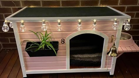 Kmart Australia shoppers show off dog kennel makeovers using cubby houses | 7NEWS.com.au Fancy Dog Houses Indoor, Indoor Dog Houses For Small Dogs, Cool Dog Houses Indoor, Kitty House Diy, Dog House Decoration, Diy Small Dog House, Cute Dog Houses Indoor, Dog Kennel Makeover, Dog House Makeover