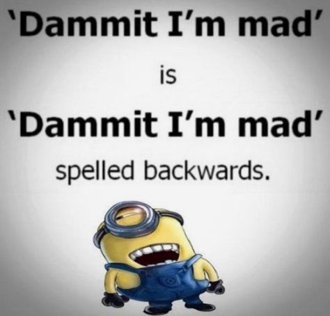 Dammit I’m mad is “Dammit I’m mad” spelled backwards. Funny Relationship Quotes, Funny Jokes To Tell, Super Funny Quotes, Funny Comebacks, Hard Quotes, Funny Quotes Sarcasm, Minions Quotes, Funny Quotes For Teens, Funny Picture Quotes