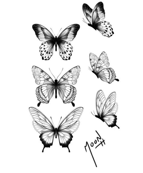 Medium Size Butterfly Tattoo, August Butterfly Tattoo, Butterfly Sketch Tattoo, Tattoo Medusa, Drawing Elephant, Realistic Butterfly Tattoo, Butterfly Tattoos Images, Borboleta Tattoo, Butterfly Tattoo Stencil