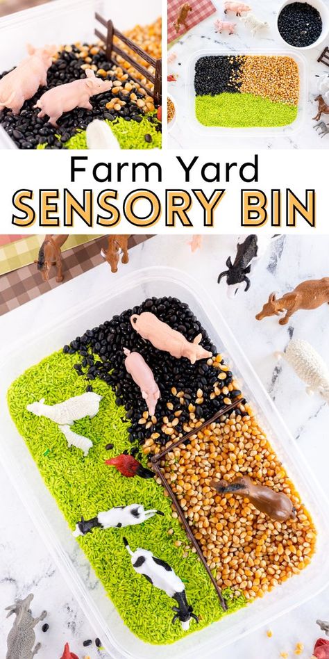 Sensory Bins Farm Animals, Farm Theme Large Motor Activities, Farm Animal Sensory Play, Farm Sensory Play, Farm Animals Sensory Activities, Farm Animals Sensory Bin, Farm Science, Farm Animal Toddler Activities, Farm Sensory Activities