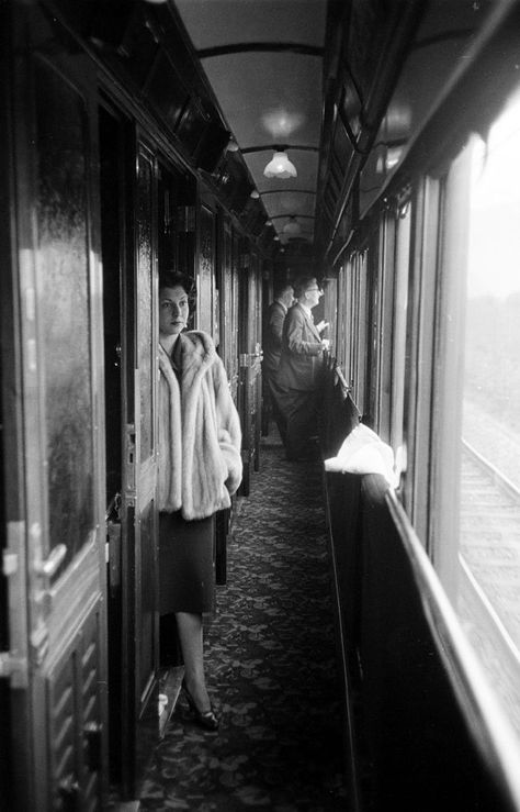 Simplon-Orient Express 1950 Orient Express Train, Simplon Orient Express, The Orient Express, Luxury Train, Old Train, Orient Express, Time Life, Vintage Train, Life Pictures