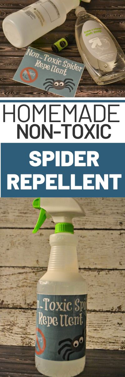 Homemade Spider Repellent #DIY. DIY Spider Repellent. Homemade Spider spray. Homemade Non-Toxic Spider Repellent #DIY. All natural spider repellent. All natural spider spray. Peppermint spider spray. Peppermint oil uses. Spray For Spiders Outside, Peppermint Spray For Spiders, Spider Repellent Diy, Homemade Spider Spray, Spiders Repellent Diy, Spider Repellant, Natural Spider Repellant, Spider Repellent, Peppermint Oil Uses