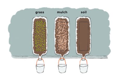 Soil Erosion Experiment, Soil Erosion Science Fair Project, Erosion Science Fair Project, Erosion Activities, Science Fair Projects Boards, Ag Teacher, Soil Erosion, California Drought, Weathering And Erosion