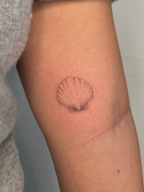 Cat Paw Tattoo Minimalist, Scallop Seashell Tattoo, Mussel Shell Tattoo, Fineline Shell Tattoo, Camino Shell Tattoo, Cape Cod Tattoo, Tiny Shell Tattoo, Scallop Tattoo, She’ll Tattoo