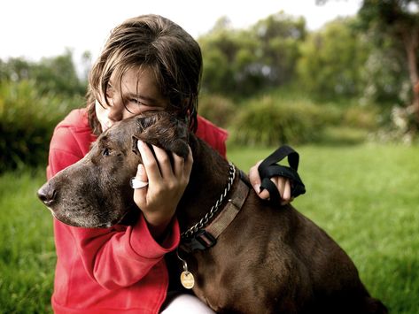 How to Know When It's Time to Euthanize Your Dog Bikers Quotes, Types Of Seizures, Dog Crying, Human Personality, Dog Personality, Behavior Problems, Older Dogs, Pet Life, Beloved Dog