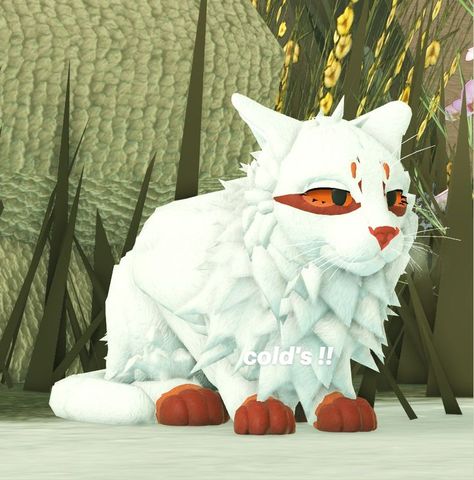 Fluffy Cat Aesthetic, Warrior Cats Ultimate Edition, Warrior Cats Funny, Unusual Animal Friendships, Warrior Cats Comics, Characters Drawing, Warrior Cats Books, Wcue Morph, Cat Skin