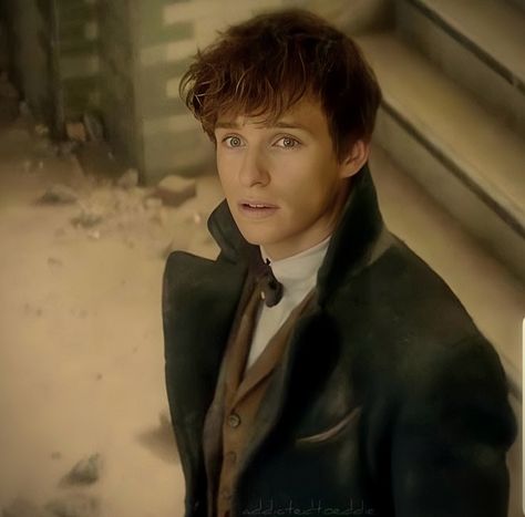 Newt Scamander Icon, Scamander Aesthetic, Newt Scamander Aesthetic, Newt Salamander, Morrigan Crow, Fit Guys, Kin List, Newt Scamander, Eddie Redmayne