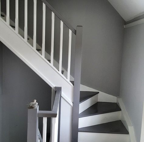 Decorating ideas Staircase Grey And White, Grey Landing And Stairs, White And Grey Staircase, Grey Banister Staircases, Grey And White Stairs, Grey And White Staircase, Stair Colors, Gray Staircase, Grey Staircase