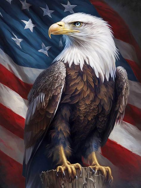 Amazon.com: Bimkole 5D Diamond Painting Kits for Adults Flag Eagle, Full Drill Animal DIY Rhinestone Embroidery Set Paint with Diamonds Art by Number Kits Cross Stitch Home Wall Craft Decoration 12X16 inch : Arts, Crafts & Sewing Bald Eagle Art, American Flag Painting, Eagle Artwork, 4th Of July Images, Cross Stitch Home, July Images, Eagle Painting, American Flag Wallpaper, Rhinestone Embroidery