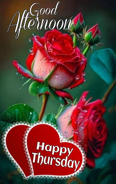 Afternoon Wishes, Thursday Greetings, Morning Sayings, Good Morning Happy Thursday, Good Thursday, Good Afternoon Quotes, Good Evening Greetings, Afternoon Quotes, Birthday Greetings Friend