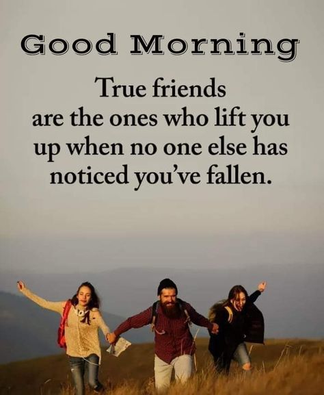 Good Morning Friends Quotes Friendship, Abs Plan, Karma Quotes Truths, Positive Daily Quotes, Good Morning Quotes Friendship, Evening Wishes, Soul Tribe, Gm Images, Morning Massage