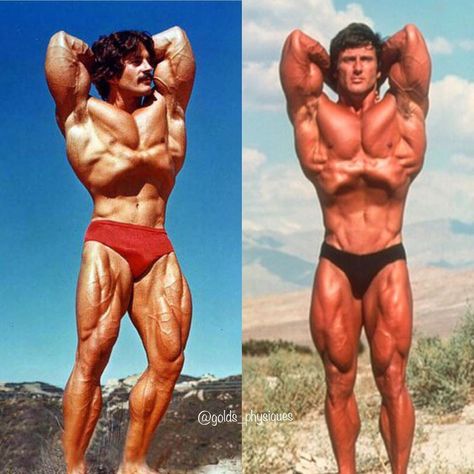 Vacuum Pose, Mike Mentzer, Frank Zane, Gym Photos, Olympia, Bodybuilding, Sumo Wrestling, Gym