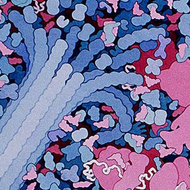 microbe-2, Dr David Goodsell, science and art. David Goodsell, Biology Ideas, Science Images, Biology Art, Natural Models, Organic Art, Gene Expression, Cell Biology, Amazing Images