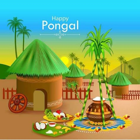 Happy Sankranti Wishes, Nature Drawing For Kids, Pongal Images, Happy Pongal Wishes, Village Scene Drawing, Festival Drawing, Nursery Decals Girl, Pongal Celebration, God Venkateswara Images Hd Wallpaper