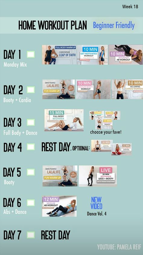 Intense Workout Plan, 10 Min Ab Workout, Free Workout Programs, Workout Program Gym, Beginner Ab Workout, Workout Videos Free, Best Workout Routine, Abs Workout Video, Weekly Workout Plans