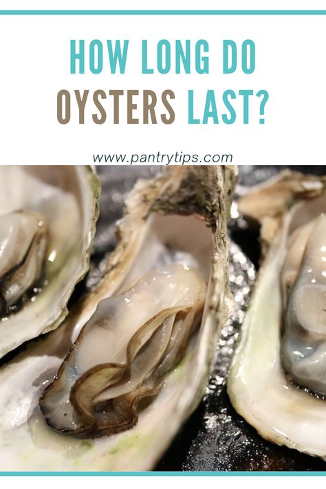 How To Prepare Oysters, How To Shuck Oysters At Home, How To Shuck An Oyster, Fresh Oyster Recipes, Oyster Recipes No Shell, Mirliton Recipe, Steamed Oysters, Canned Oysters, Scalloped Oysters