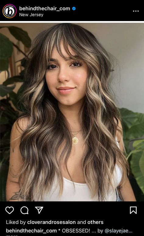 Natural Brown And Blonde Hair, Edgy Brunette Hair Color Highlights, Subtle Edgy Hair Color, Face Framing Curtain Bangs Highlights, Medium Brown Hair With Peekaboo Color, Brunette Blonde Peekaboo, Dark Brown Hair With Low Lights Framing Face, Money Piece Bangs Balayage, Money Piece Hair With Bangs Brown