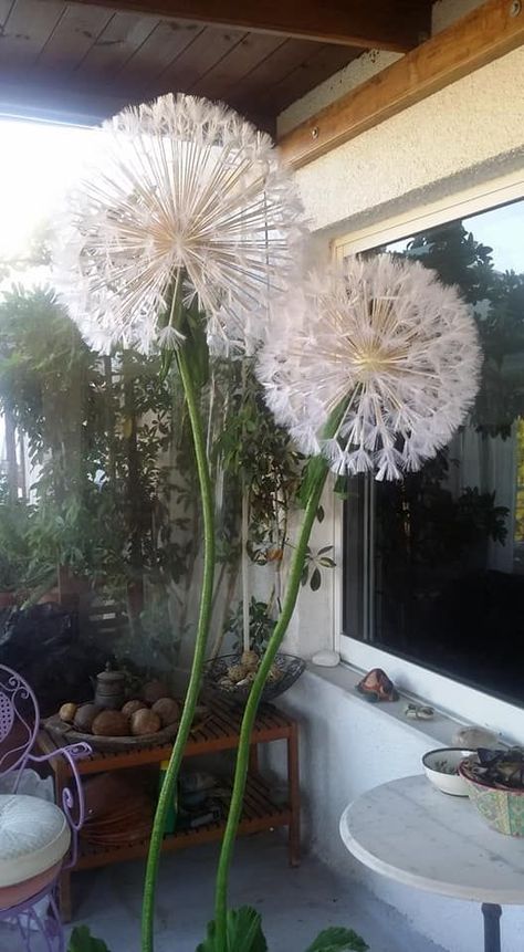 Diy Dandelion Flower, Diy Dandelion Staff, Dandelion Ren Faire, Dandelion Costume, Diy Giant Dandelion Flower, Giant Dandelion Diy, Large Dandelion Flower Diy, Giant Dandelion, Giant Dandelion Prop