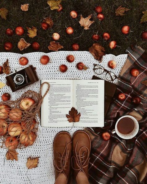 fall photos Book Wallpapers, Book And Coffee, Gif Illustration, Food Makeup, Picnic Inspiration, Disney Instagram, Spooky Szn, Interesting Images, Food Diy