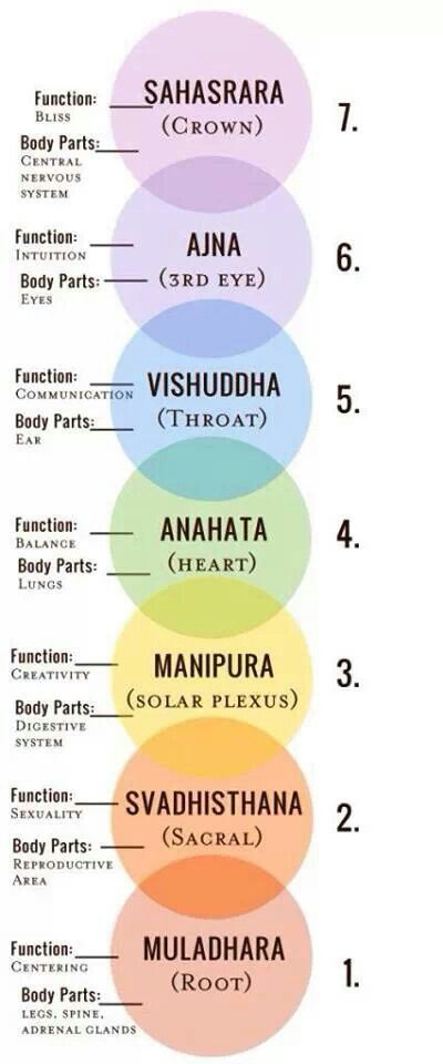 chakras... The Seven Chakras, Chakra Yoga, Alternative Healing, Seven Chakras, Les Chakras, Kundalini Yoga, Chakra Meditation, Mind Body Spirit, Vinyasa Yoga