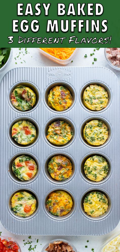 Scrambled Egg Cups Breakfast Muffins, Egg Muffin Tin Breakfast, Egg Bites Muffin Tins Vegetarian, Bacon And Egg Cups Muffin Tins, Easy Egg Muffins Healthy, Egg Bite Muffin Tin Recipe, Keto Baked Eggs In Muffin Tin, Muffin Eggs Cups, Muffin Egg Recipes