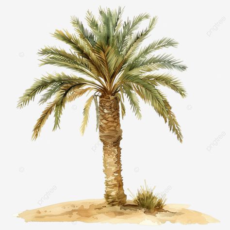 watercolor palm tree in the desert watercolor drawing palm tree png Palm Art Drawing, Palm Tree Sketch, Palm Tree Watercolor, Desert Watercolor, Watercolor Palm Tree, Palm Tree Png, Palm Tree Drawing, Transparent Watercolor, Tree Png