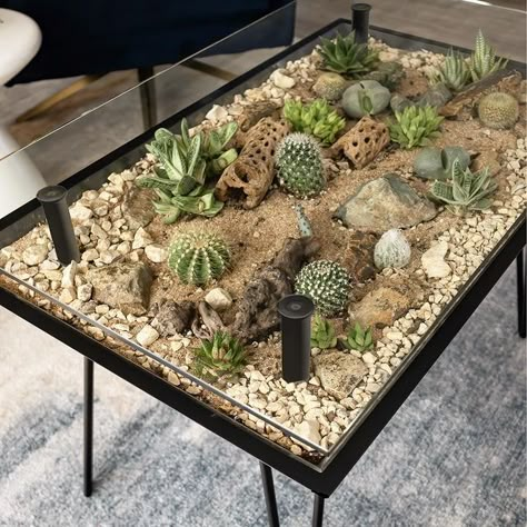 Terrarium Table Diy, Blooming Table, Succulent Plants Indoor, Styling Plants, Plants In Bedroom, Succulent Table, Terrarium Table, Indoor Plants Decor, Indoor Plants Styling