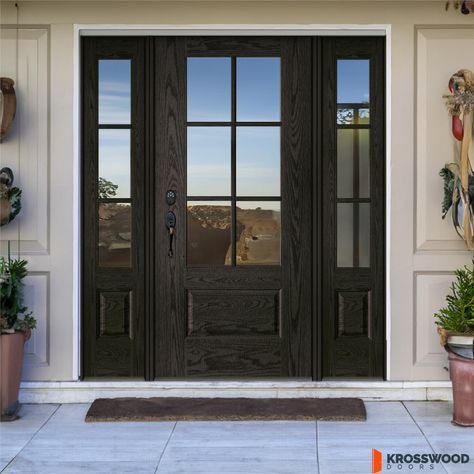 Front Doors Ideas Entrance, Front Doors With Glass Panels Entrance, Front Door With White House, Modern Craftsman Front Door, Black Farmhouse Front Door, Front Door Privacy Glass Ideas, New Front Door Ideas, Large Front Doors Entrance, Front Door Frosted Glass Design