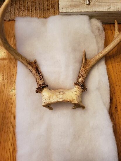 My husband and son are hunters and have antlers they would like to display. I don't love the look of traditional antler mounts so I was looking to find a way to mount them that I wouldn't mind displaying too. This is what I came up with... Material List: Poly-fil Fabric Antlers Fabric scissors Fabric glue Decorative board Drill Bolt, nut & washer Hammer Upholstery racks Jute First we drilled a hole in the box and in the antler skull. I cut a piece of poly-fil… Antler Mounts Ideas, Elk Antler Mount Ideas, Horn Mount Ideas, Mounting Antlers Diy, Antler Mount Diy, Deer Antler Display Ideas, Diy Deer Antlers Decor, How To Mount Antlers On Wood, How To Hang Deer Antlers On Wall