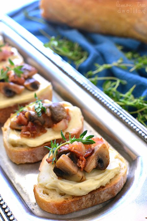 This Mushroom Bacon Swiss Crostini is packed with delicious flavor and so simple to make! The perfect holiday appetizer - it's sure to please a crowd! Bacon Crostini, Pecan Baked Brie, Best Thanksgiving Appetizers, Lemon Tree Dwelling, Pecan Coffee Cake, Mushroom Bacon, Swiss Recipes, Holiday Appetizers Recipes, Crostini Recipes