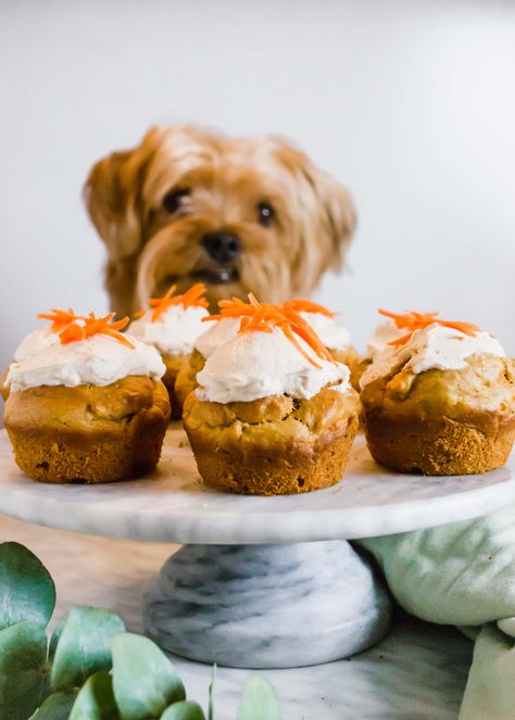 Peanut Butter and Carrot Cupcakes for Dogs Dog Treats With Peanut Butter, Cupcakes For Dogs, Treats With Peanut Butter, Carrots And Peanut Butter, Cupcakes For Dogs Recipe, Dog Birthday Cupcakes, Greek Yogurt Toppings, Carrot Dogs, Peanut Butter Yogurt