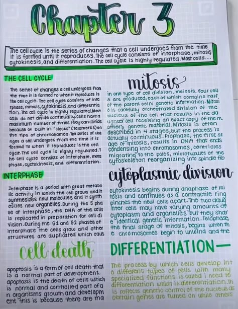 Class 11 Aesthetic Notes, Cell Notes Aesthetic, Cell Division Notes Aesthetic, Cells Aesthetic Notes, Cell Division Notes, Aesthetic Notes Inspo Science, Cell Cycle Notes, Aesthetic Biology Notes, Cell Cycle And Cell Division Notes For Neet