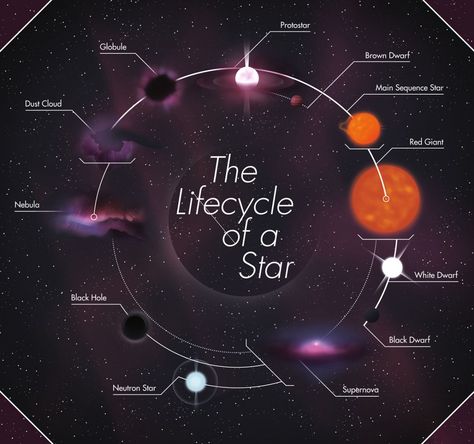 Lifecycle Of A Star, Astronomy Facts, Astronomy Science, Neutron Star, Space Facts, Physics And Mathematics, Space Pictures, Hubble Space Telescope, The Solar System