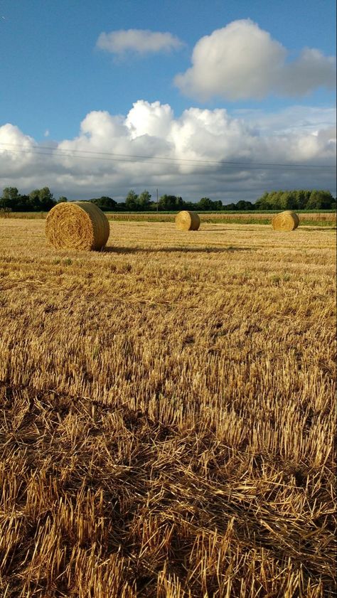 Material Collage, Simple Landscape, Cottage Witch, Grasses Landscaping, Hay Bales, Landscape Drawings, Fashion Painting, Country Farm, Autumn Aesthetic