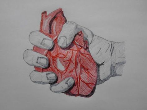 Holding Human Heart, Human Heart Drawing, Hands Holding Heart, Human Sketch, Holding Heart, Heart Sketch, Dragon Ball Super Wallpapers, Human Drawing, Heart Hands Drawing