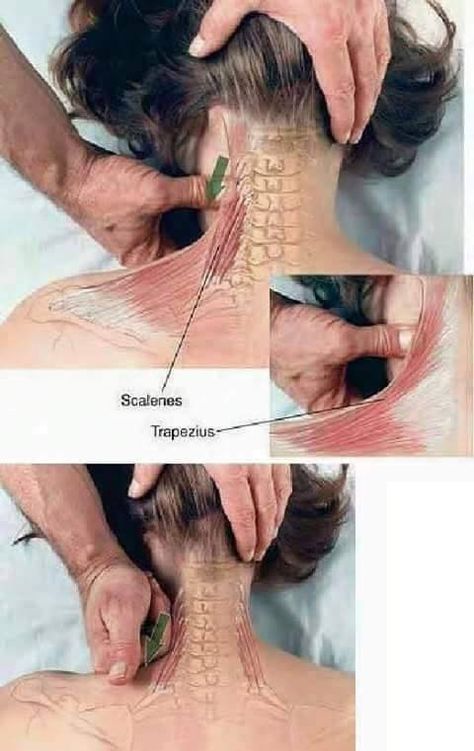 Body Muscle Anatomy, Reflexology Benefits, Full Body Massage Techniques, Sports Massage Therapy, Body Massage Techniques, Body Pain Relief, Massage Therapy Techniques, Wellness Massage, Reflexology Massage