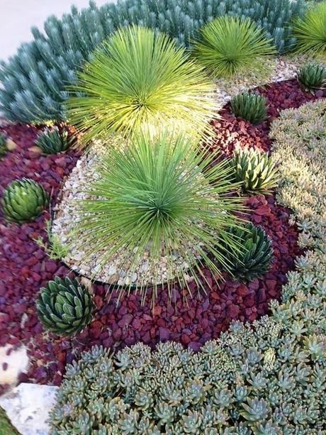 Xeriscaping, Drought Tolerant Land Cover - Paperblog Xeriscape Landscaping Arizona, Poolside Plants, Shed Inspiration, Kaktus Dan Sukulen, Succulent Landscape Design, Drought Tolerant Garden, Succulent Garden Design, Drought Tolerant Landscape, Succulent Landscaping