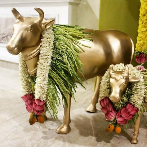 Copper cow idols for gruhapravesam.... #indianweddingblog #saree #designerblouse #teluguwedding #telugubride #tamilwedding #tamilbride #weddingbrigade #gorgeousbride #shopzters #shaadimagic #bridesessentials #ezwed #pellipoolajada #southindianbride #southindianwedding #templejewellery #southindianweddingdecor Ambience Decor, Home Flower Decor, Diy Floral Decor, Flower Garland Wedding, Indian Theme, Diwali Decorations At Home, Wedding Background Decoration, India Home Decor, Housewarming Decorations