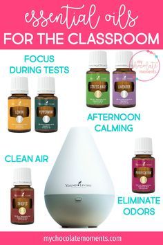 essential oils for the classroom | essential oils | Young Living | school | classroom | diffuser Essential Oils Young Living, Young Living Diffuser, Young Living Essential Oils Recipes, Yl Oils, Essential Oil Diffuser Recipes, Oil Diffuser Recipes, Yl Essential Oils, Living Essentials Oils, Diffuser Recipes