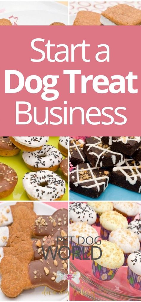 Dog Business Ideas, Dog Cookies Recipe, Start A Dog Treat Business, Dog Treat Bakery, Dog Treat Business, Dog Cookie Recipes, Treat Business, Homemade Pet Treats, Homemade Dog Cookies