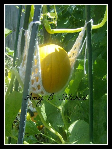 A Stitch At A Time for Amy B Stitched: Stitching in the Garden.....Crocheted Sugar-Pumpkin Hammocks Watermelon Hammock, Crochet Hammock, Cotton Crochet Patterns, Micro Garden, Garden Hammock, Crochet Garden, Growing Pumpkins, Plant Hacks, Sugar Pumpkin